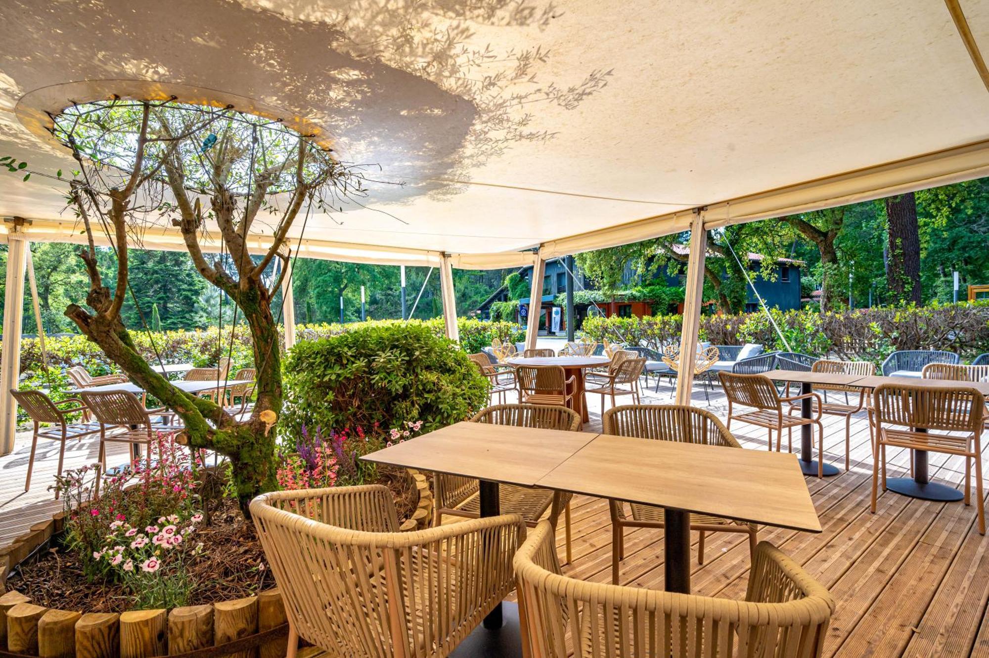 Camping-Village Vacances Les Deux Etangs Seignosse ภายนอก รูปภาพ